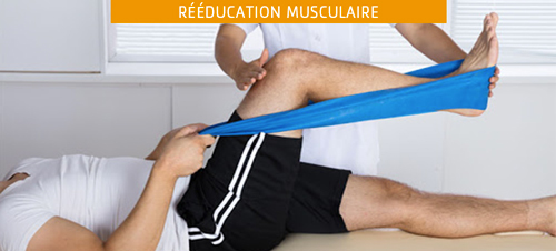 Rééducation musculaire